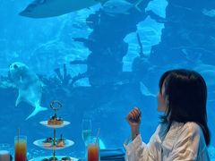 -海棠湾洲际-涛·海底餐厅·美人鱼·自助餐·海底隧道