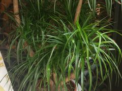 -苏州独墅湖书香世家酒店