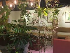 -柴务处·柴犬主题狗咖