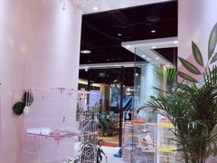 -藏猫猫咖啡主题馆(中央大道店)