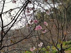 -小南山公园