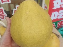 -始于2011柳周农家菜沙田柚美食店(东大街店)