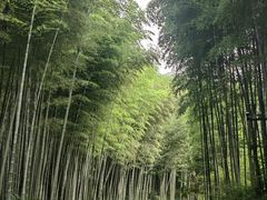 -黄公望隐居地