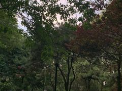 -玲珑塔公园