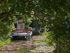 -国家植物园南园