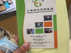 -爱侣宠医·鹦鹉专科·小型哺乳类·异宠专科(灵石路店)