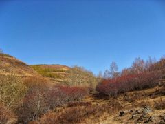 -塞罕坝国家级自然保护区