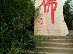 -南海禅寺