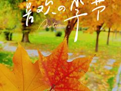 -欧亚之窗公园