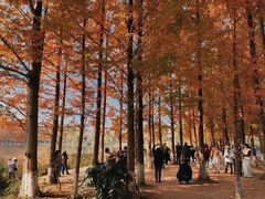 -白鹭湾湿地公园