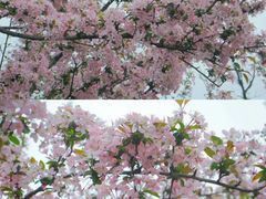 -白沙门生态公园