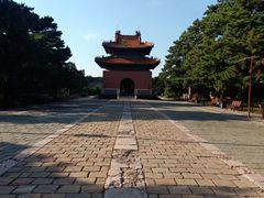 -北陵公园