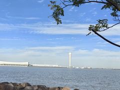 -上海吴淞炮台湾国家湿地公园
