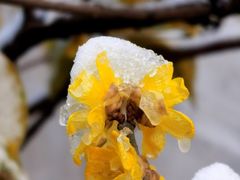 -天目湖御水温泉·度假酒店