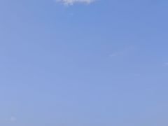 -万绿园