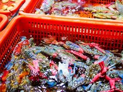 -巽寮印象美食部落餐厅·海鲜·地方特色菜(惠州体验店)