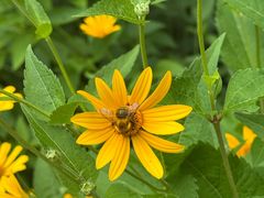 -长白山万达锦华套房酒店