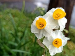 -共青国家森林公园-售票处