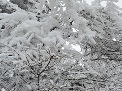 -瓦屋山景区