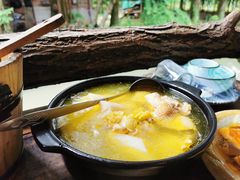 白果炖鸡-青城甲(青城山店)