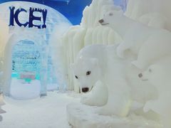 -宁波冰雪大世界(北仑区)
