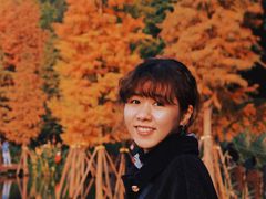 -重庆彩云湖湿地公园