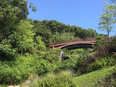 -云溪植物园