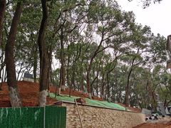 -马王堆汉墓遗址