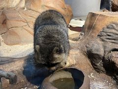 -昆明大悦城未来动物城(螺蛳湾中心店)