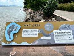 -深圳湾公园(南山区)