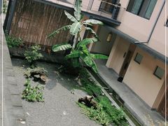 -乐领拈花溪·林涧食韵