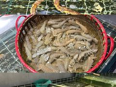 -好兄弟郭巨海鲜(天一阁店)