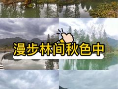 -小芝红树林