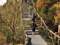 -梧桐山风景名胜区