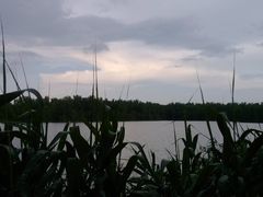 -大湾区中央湿地公园