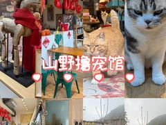 -小时光咖啡馆(开森度假森林店)