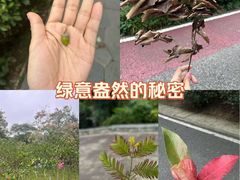 -南国桃园旅游度假区