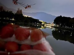 -尚层别墅装饰·大宅装修定制设计(天津分公司)