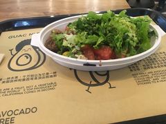 -油梨树 AVOCADO TREE(亮马桥店)
