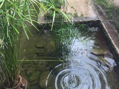 -浔岚云舍mist静谧观景美宿(丽江古城店)