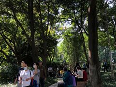 -成都市活水公园