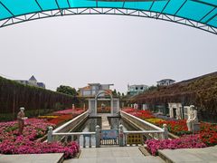 -百万葵园