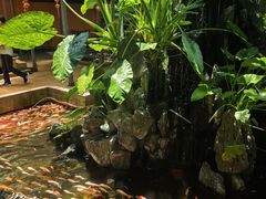 -荔城生鲜盛宴(番禺旗舰店)