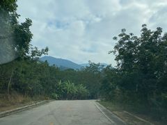 -海南霸王岭国家森林公园