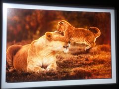 -罗红摄影艺术馆