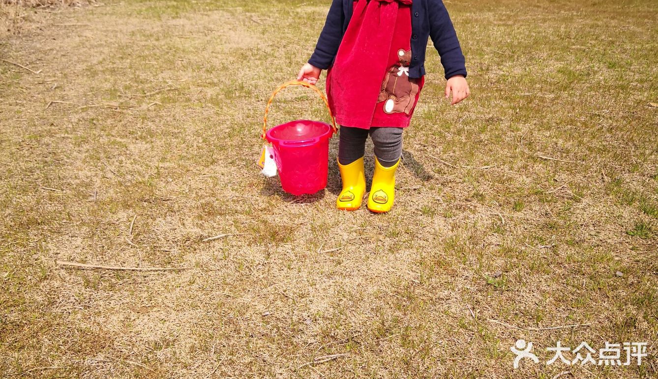 有山有水有草坪,孩子和狗狗撒丫子跑