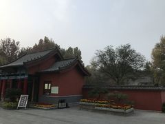 -百脉泉景区
