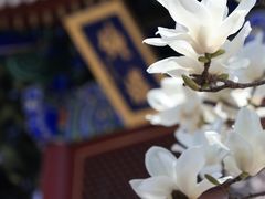 -西安市广仁寺