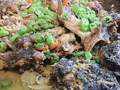 -老板恋上鱼(环山路店)