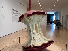 -旧金山现代艺术博物馆